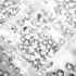 Körömdíszítő Kő - Box - Clear Több méret - Forma kővel - Go2680-148 -
